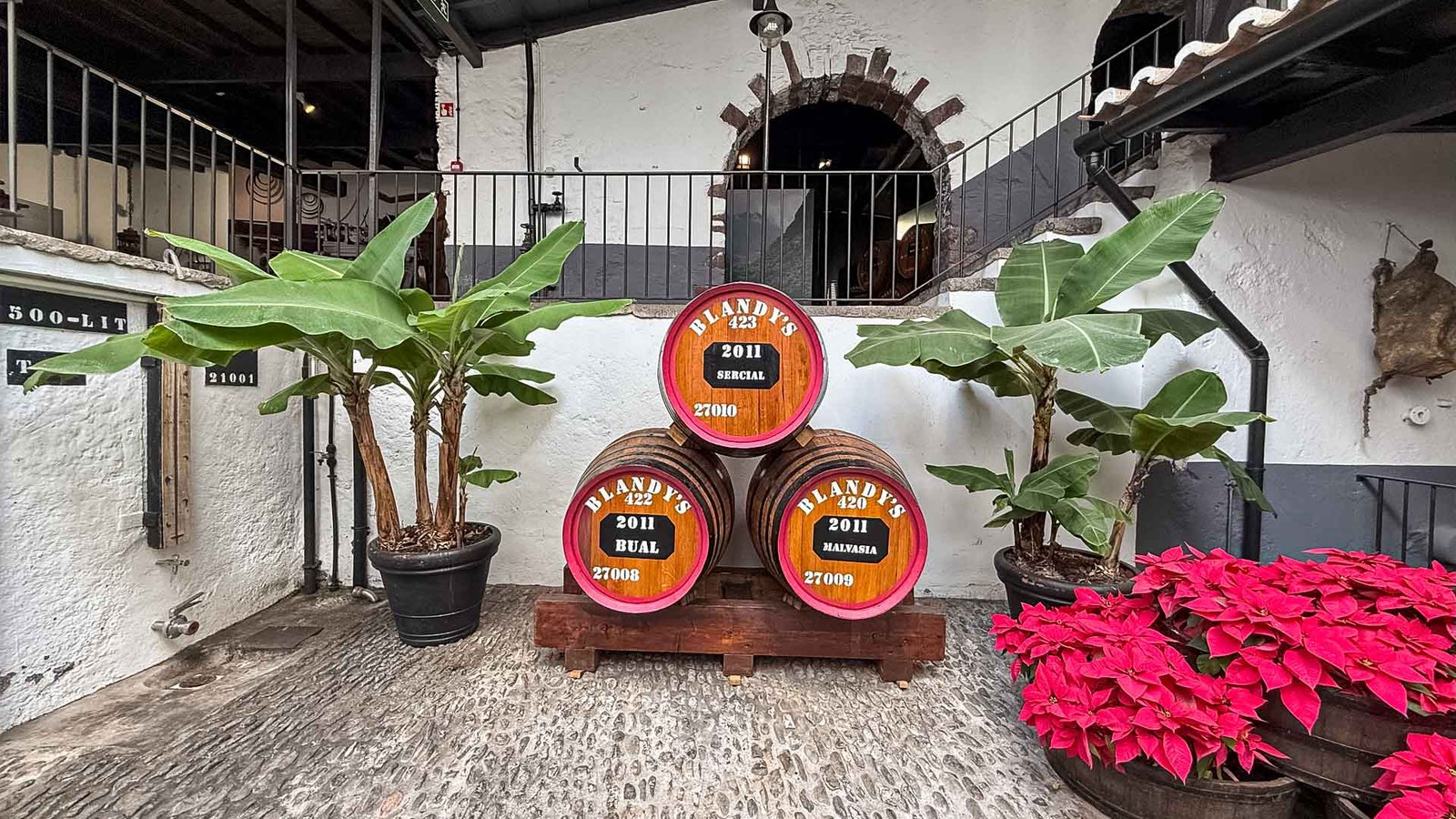 blandys-wine-lodge-see-and-go-beyond-madeira1