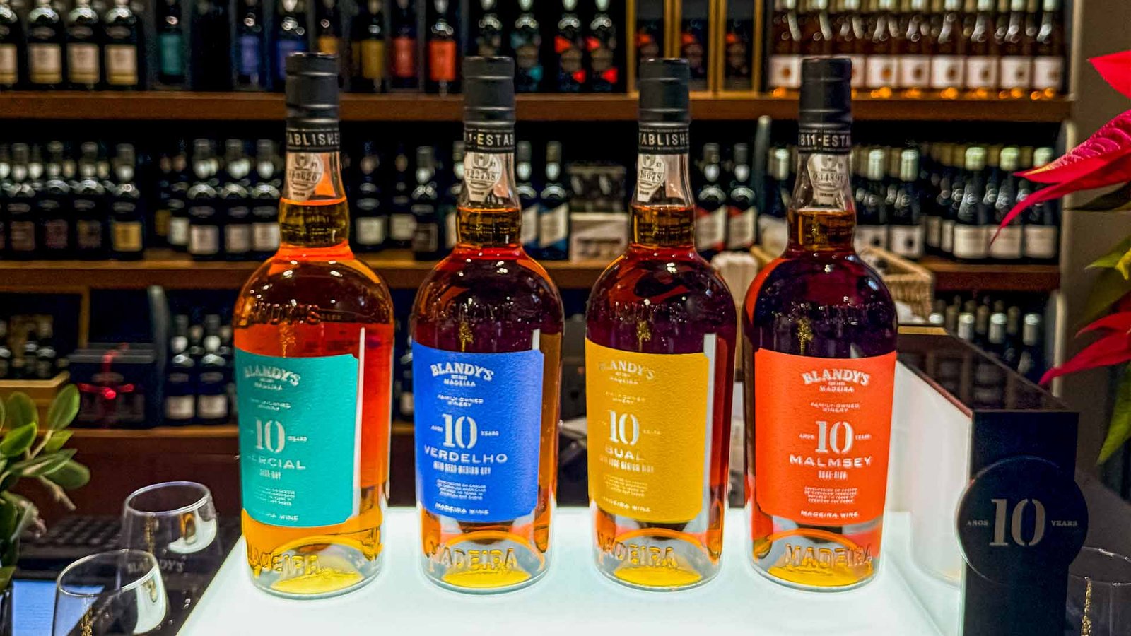 blandys-wine-lodge-see-and-go-beyond-madeira3