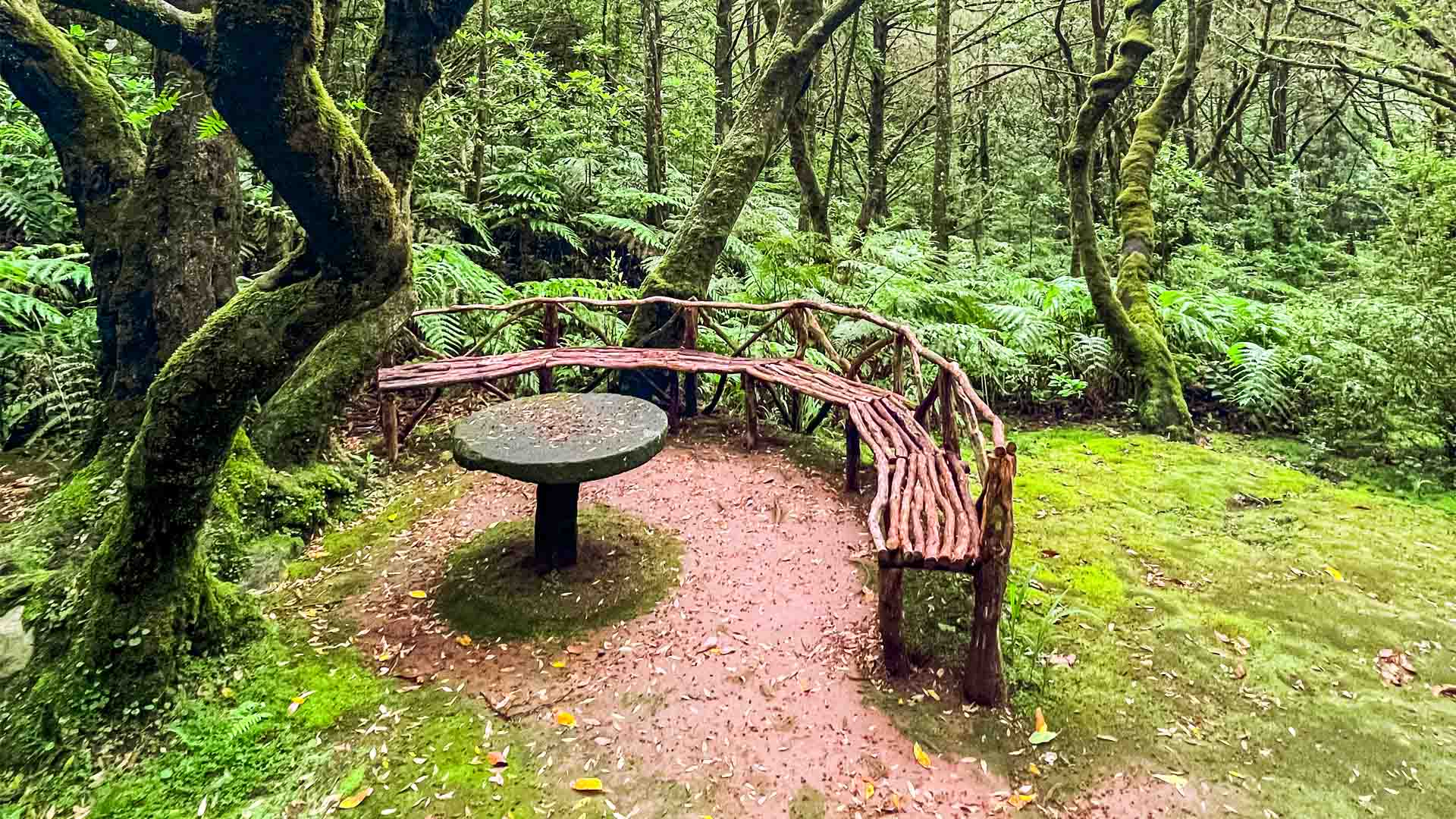 caldeirao-verde-see-and-go-beyond-madeira