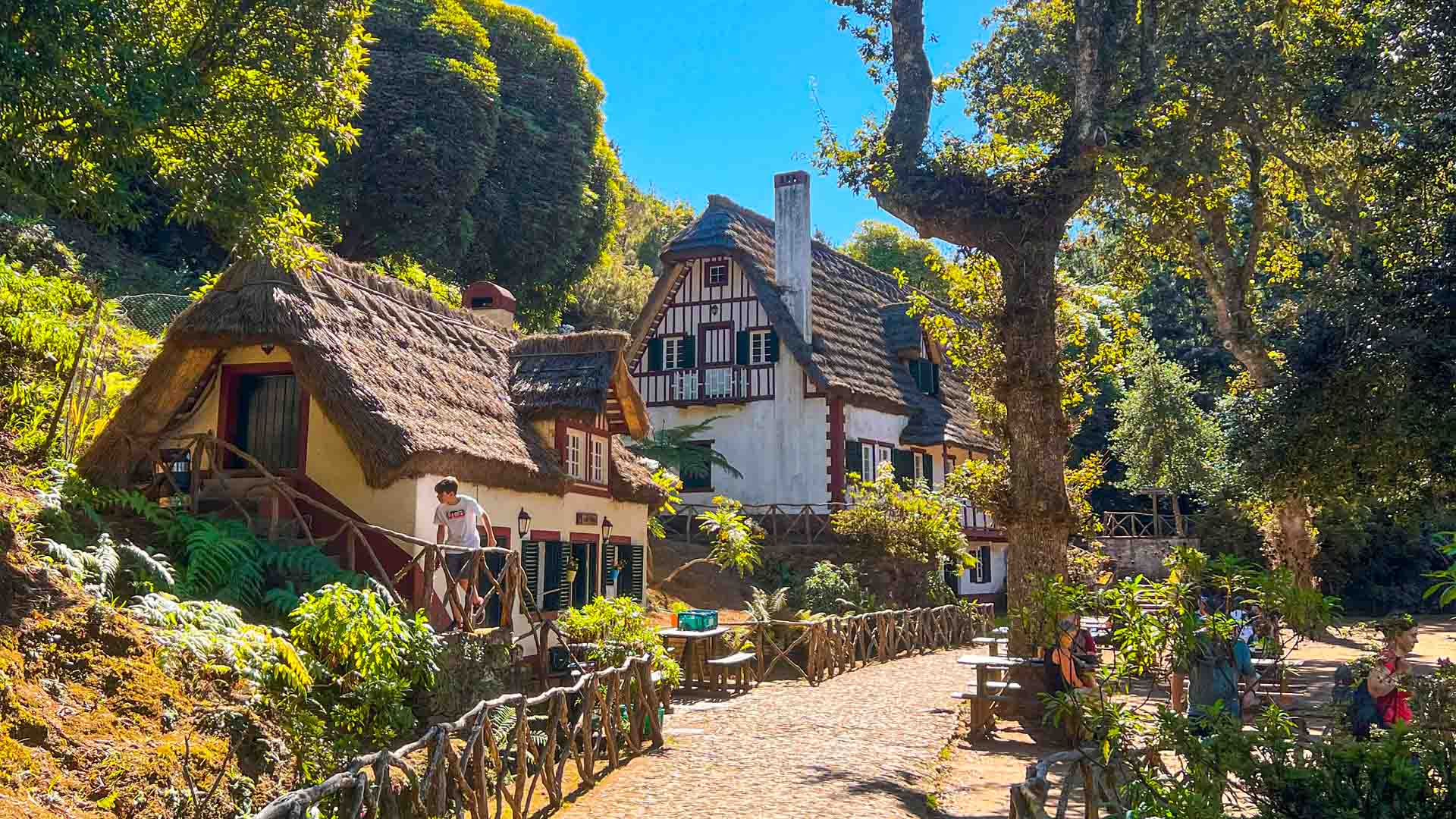 caldeirao-verde-see-and-go-beyond-madeira1