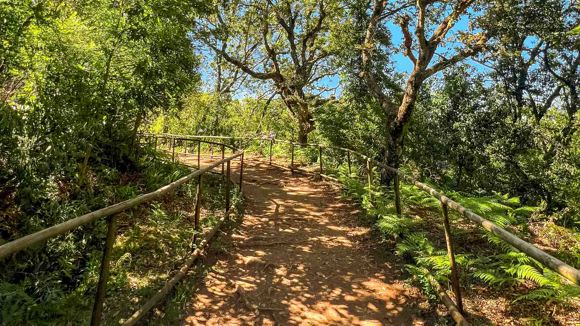 caldeirao-verde-see-and-go-beyond-madeira2