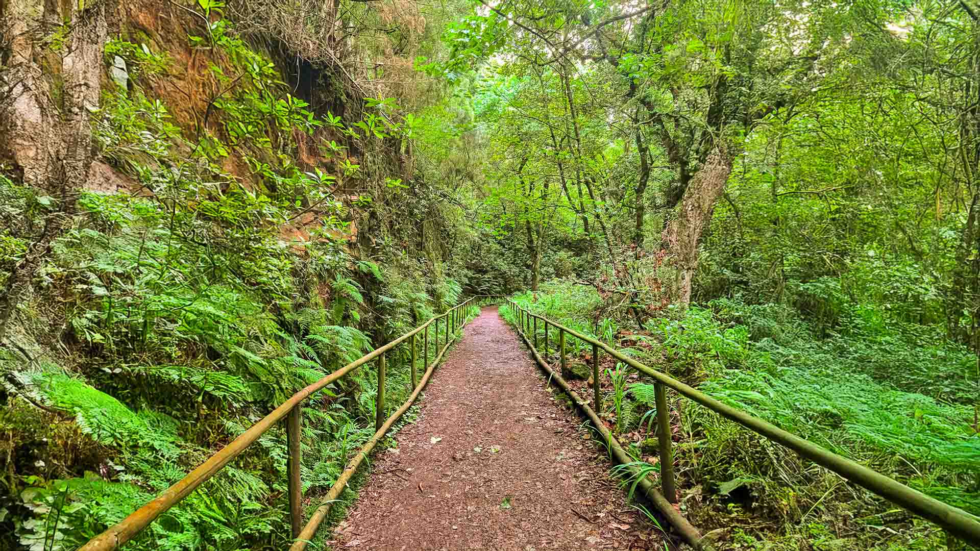 caldeirao-verde-see-and-go-beyond-madeira3