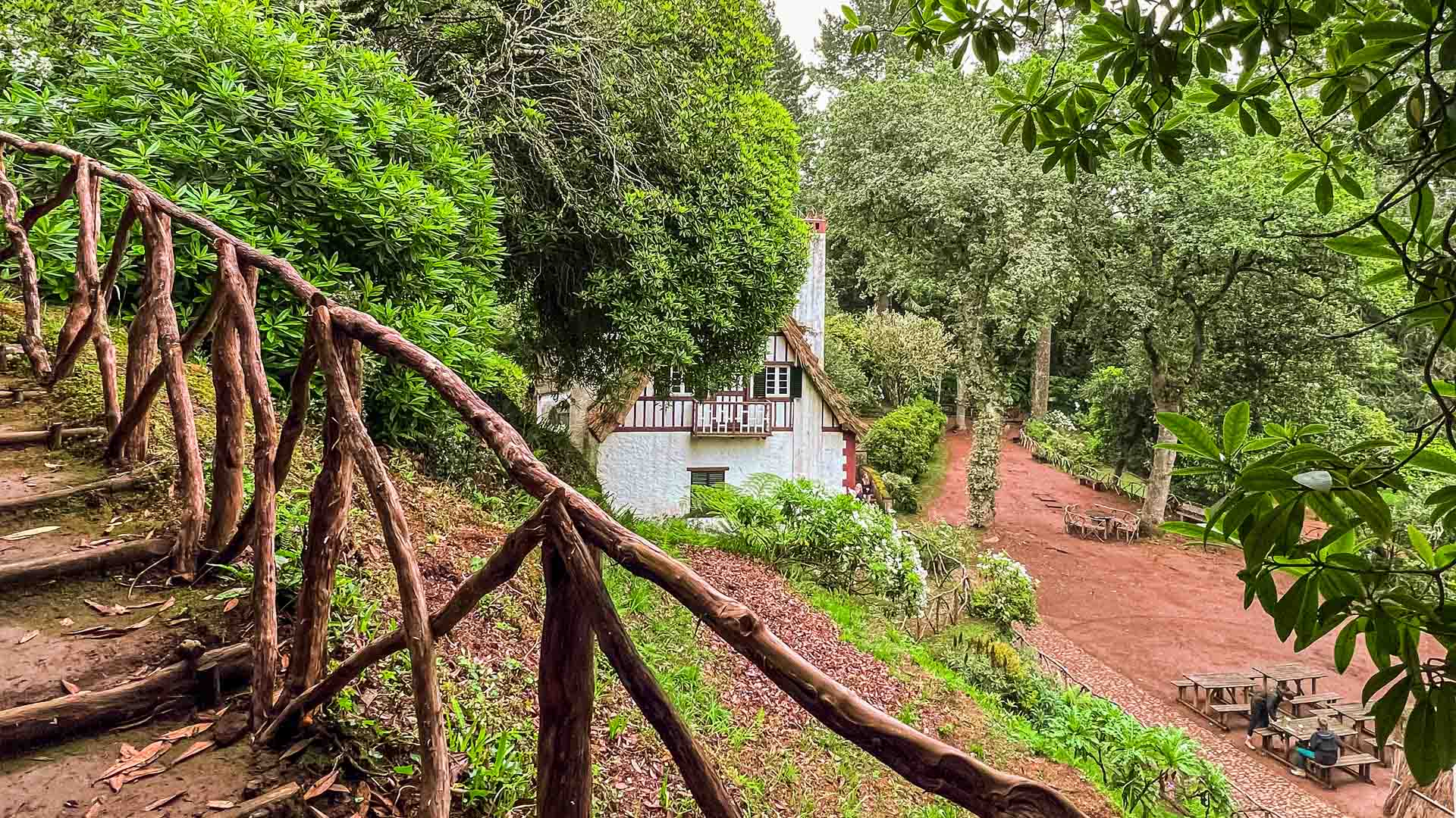 caldeirao-verde-see-and-go-beyond-madeira5