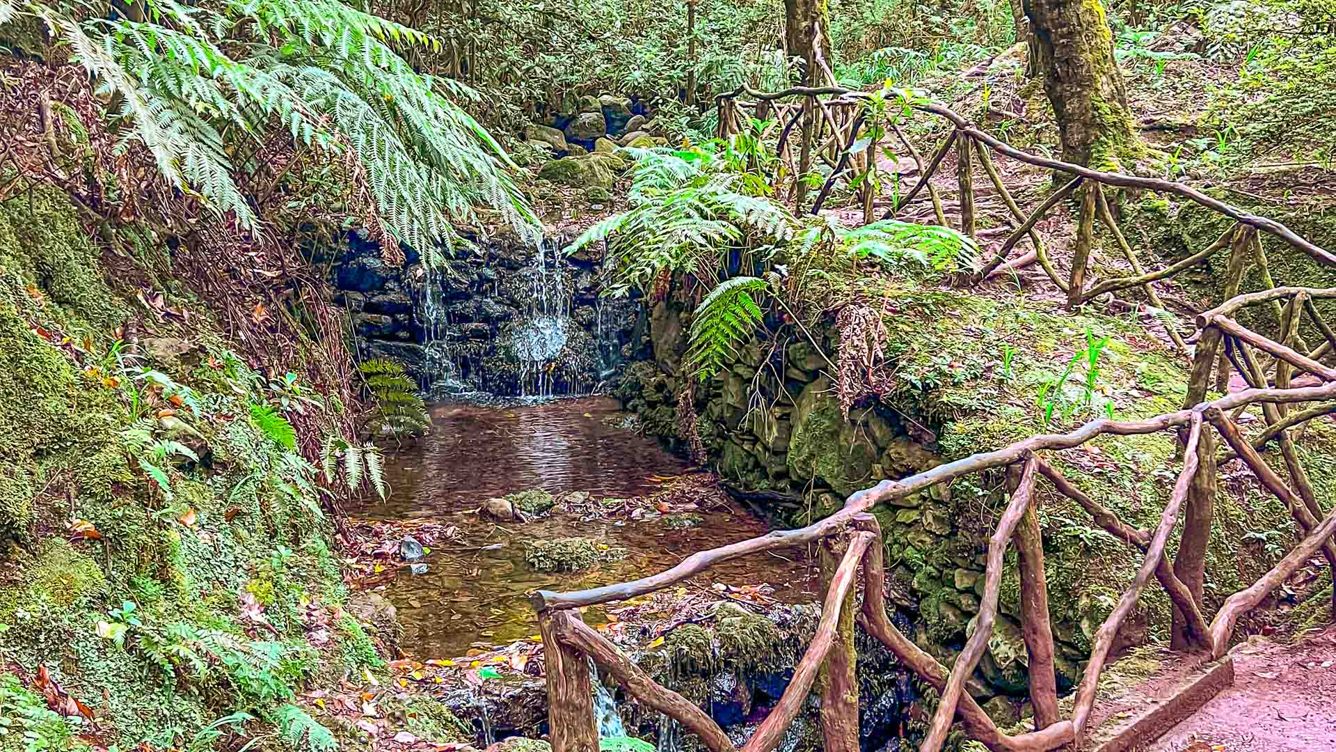 caldeirao-verde-see-and-go-beyond-madeira6