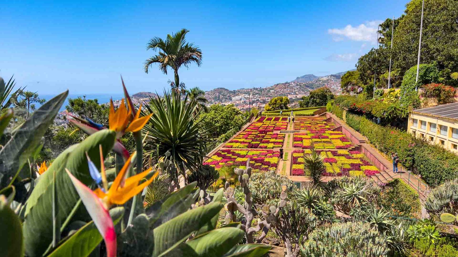 jardim-botanico-see-and-go-beyond-madeira