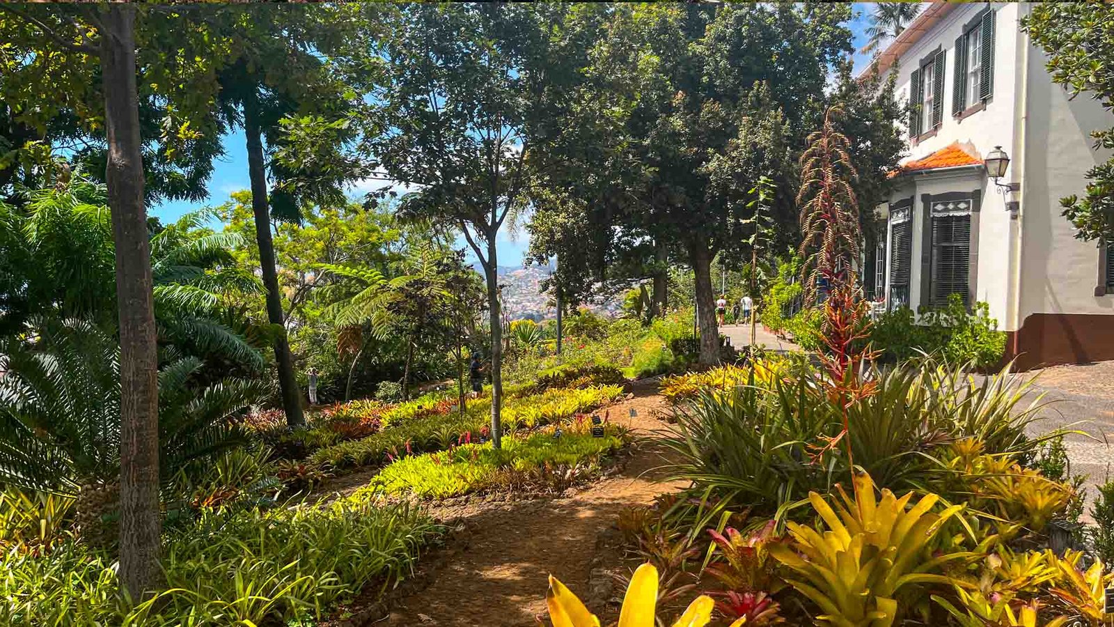 jardim-botanico-see-and-go-beyond-madeira2