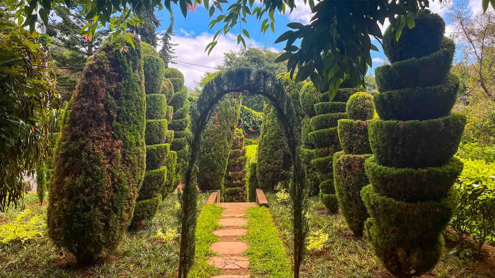 jardim-botanico-see-and-go-beyond-madeira3