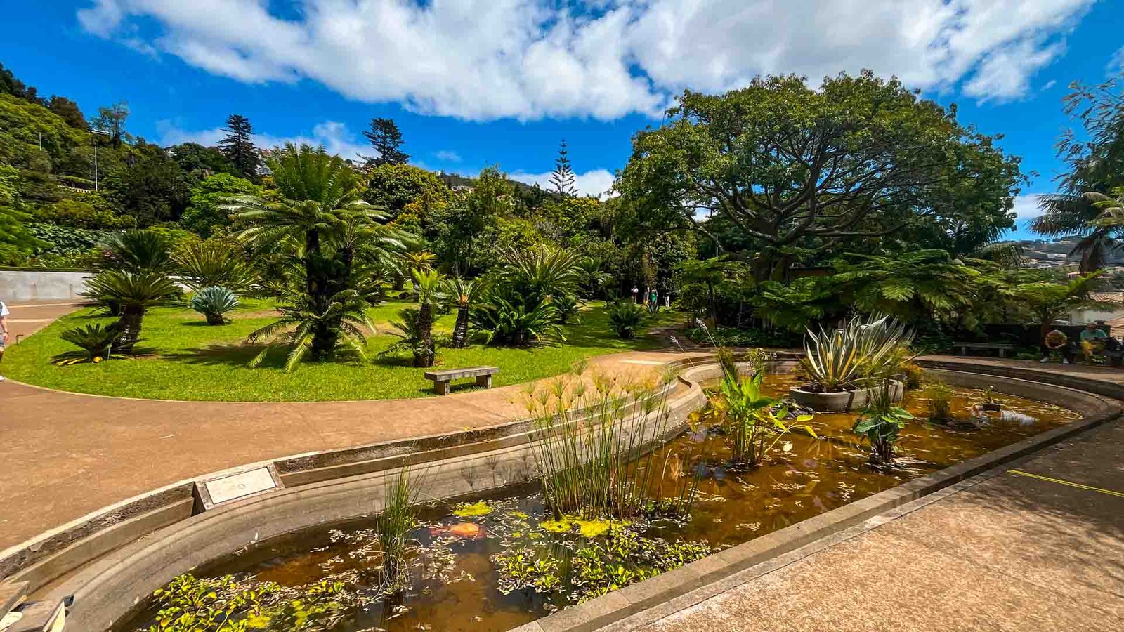 jardim-botanico-see-and-go-beyond-madeira4