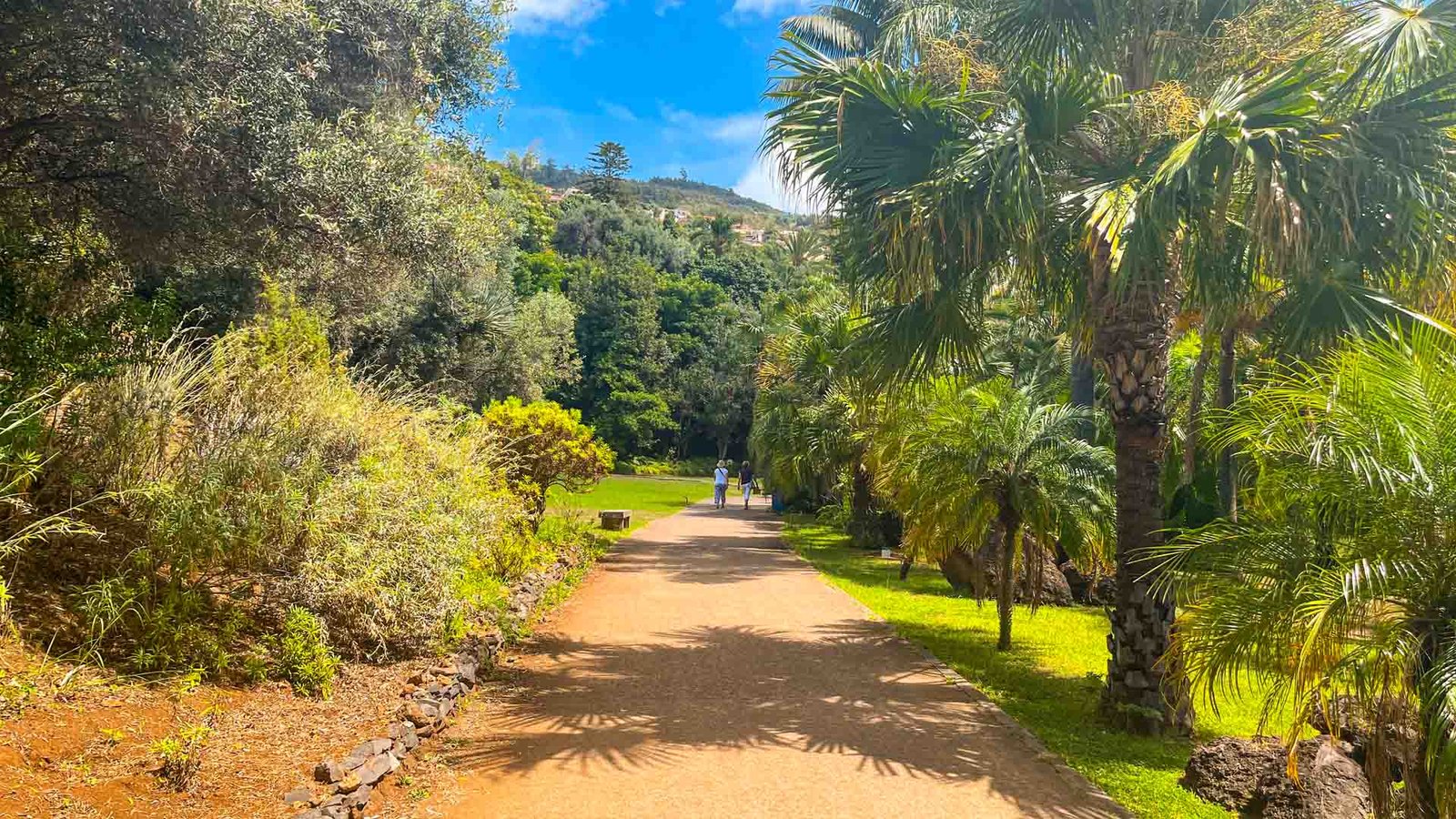 jardim-botanico-see-and-go-beyond-madeira5