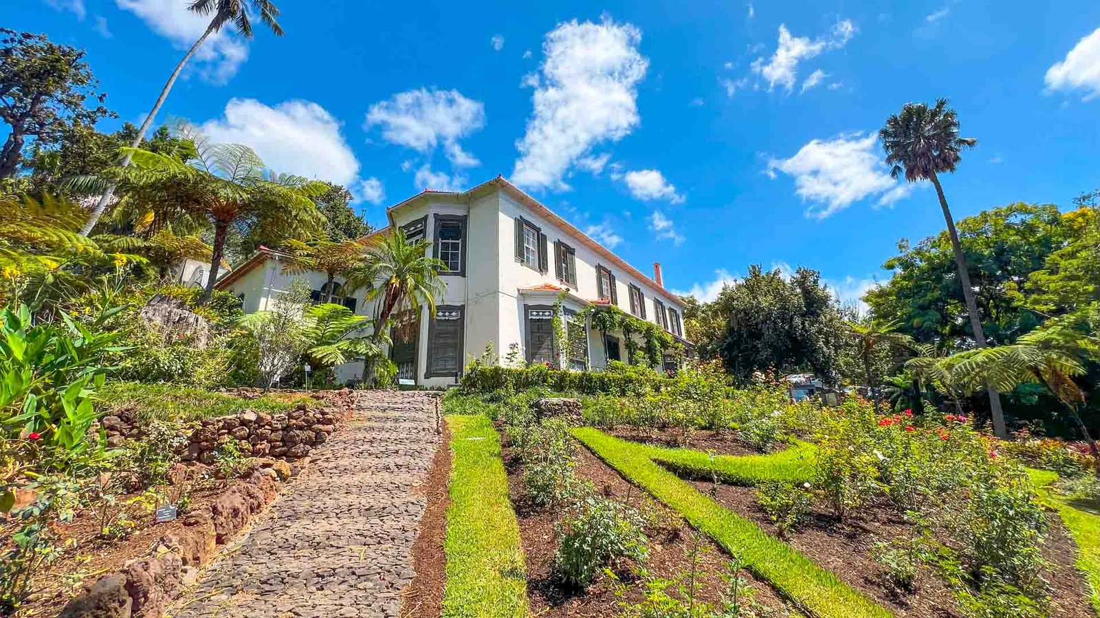 jardim-botanico-see-and-go-beyond-madeira6