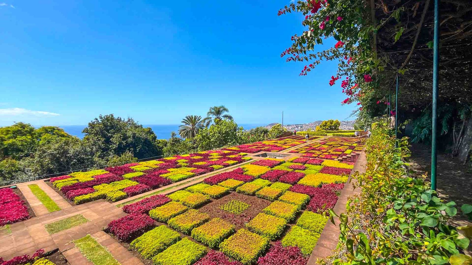 jardim-botanico-see-and-go-beyond-madeira7