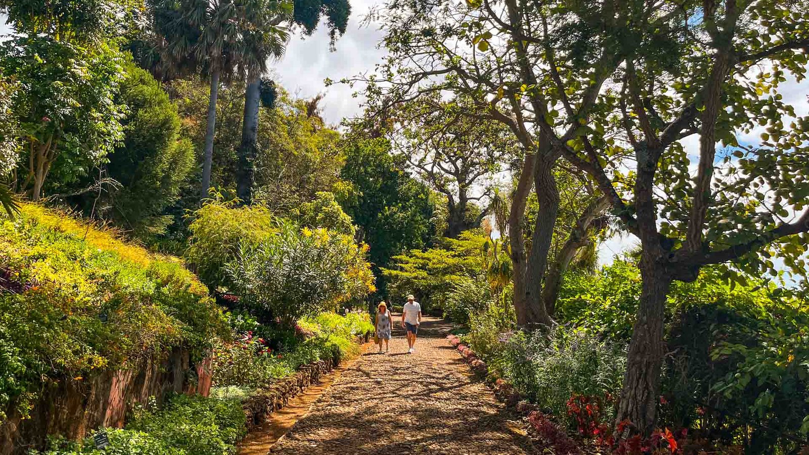 jardim-botanico-see-and-go-beyond-madeira8
