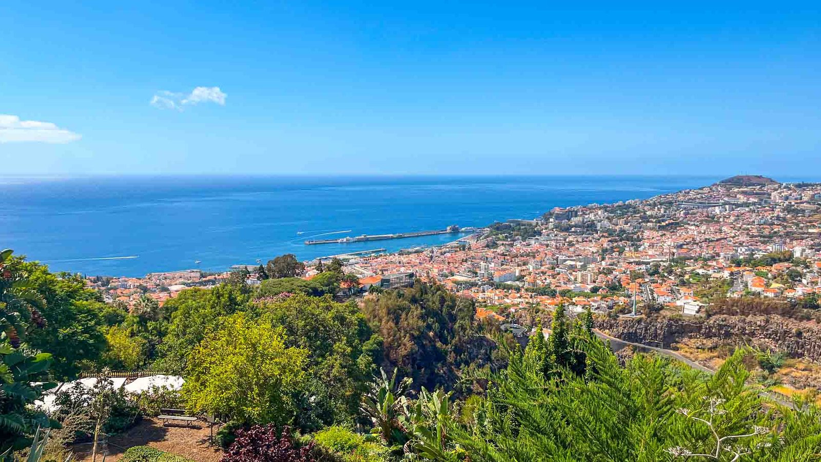 jardim-botanico-see-and-go-beyond-madeira9