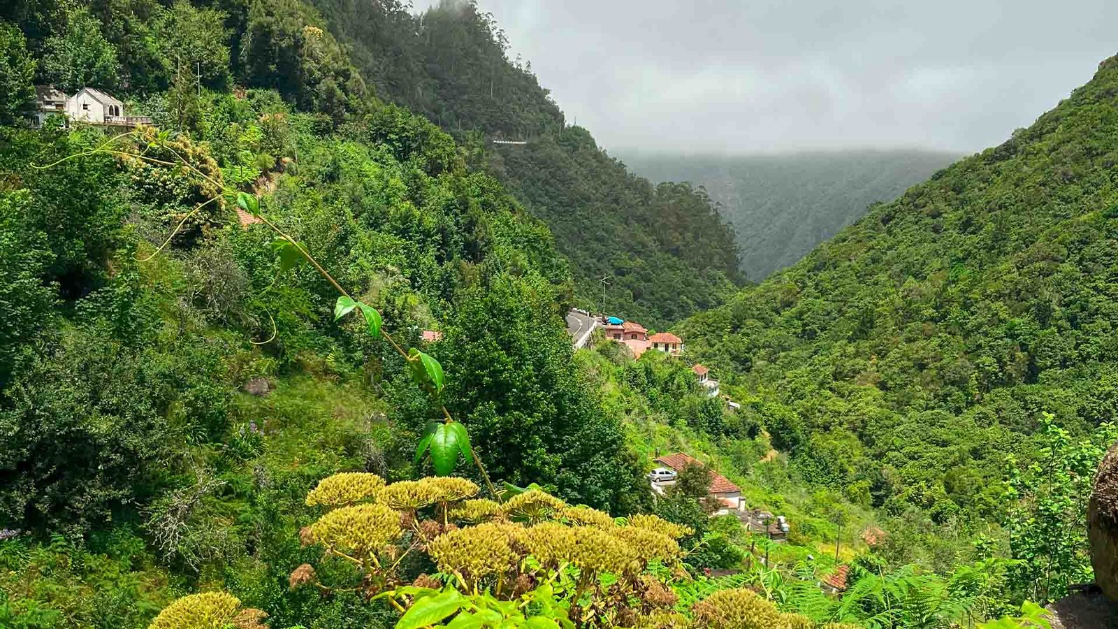 levada-dos-balcoes-see-and-go-beyond-madeira4