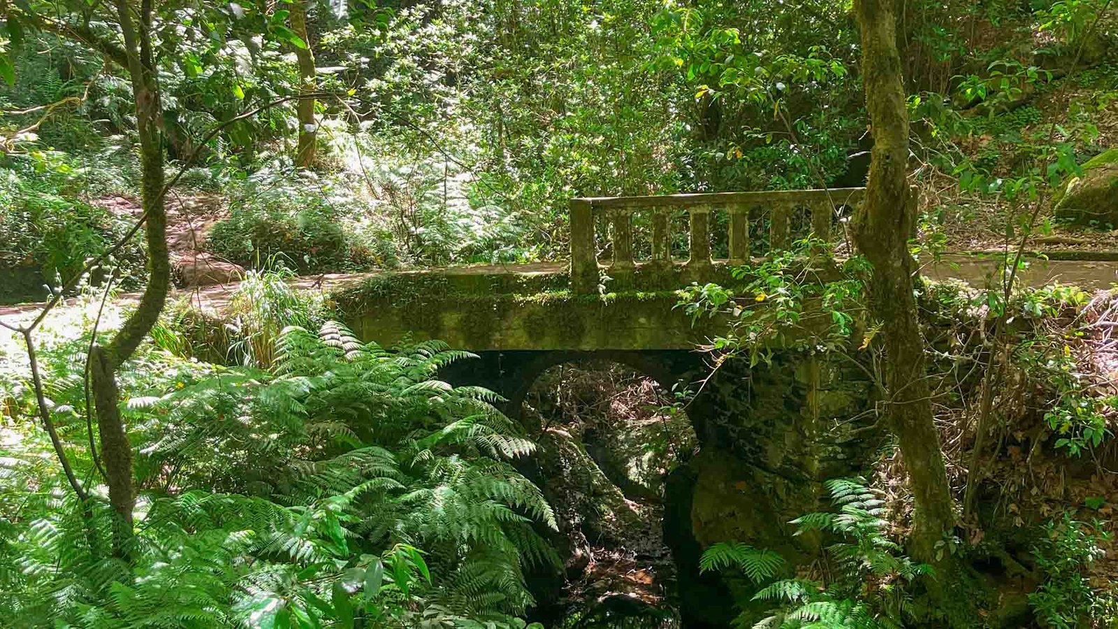 levada-dos-balcoes-see-and-go-beyond-madeira5