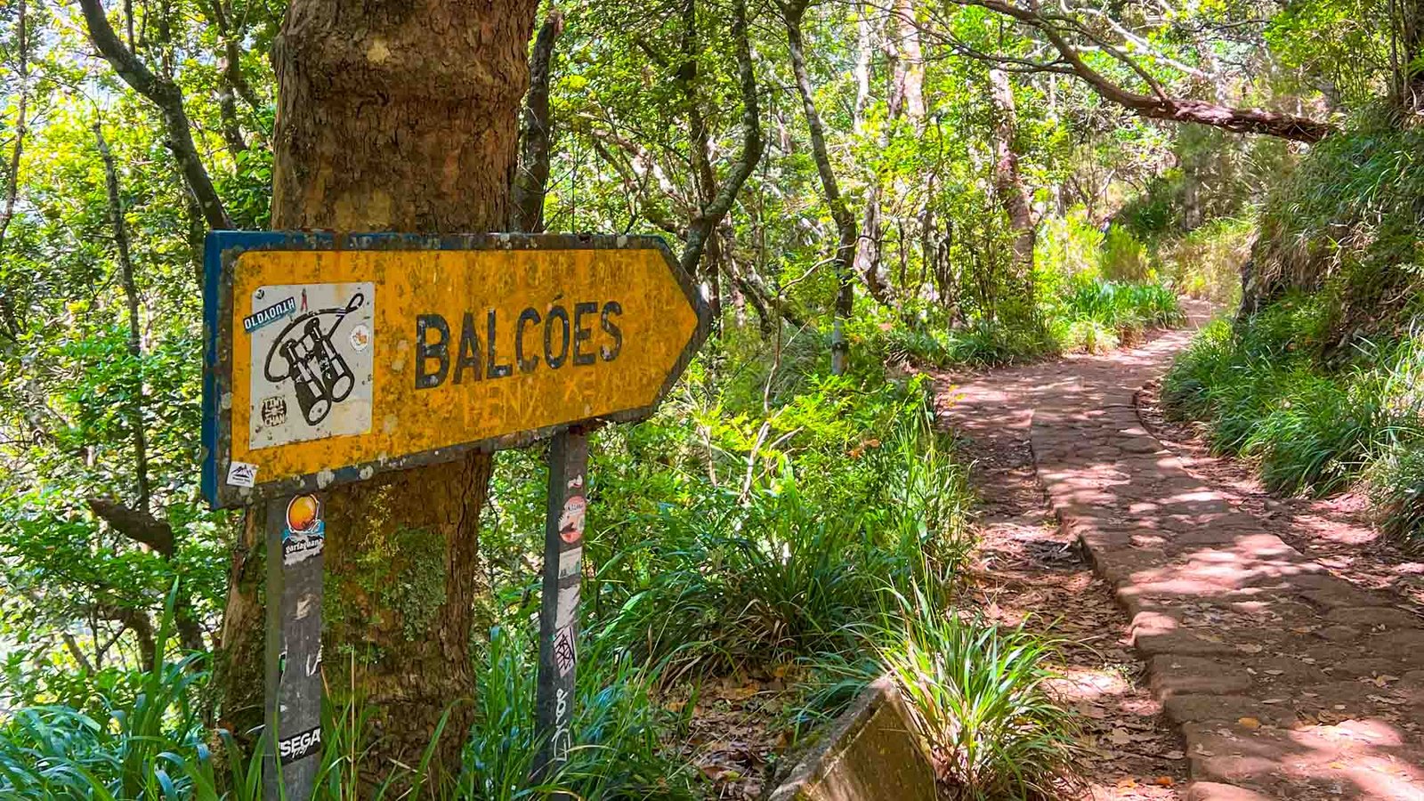 levada-dos-balcoes-see-and-go-beyond-madeira6