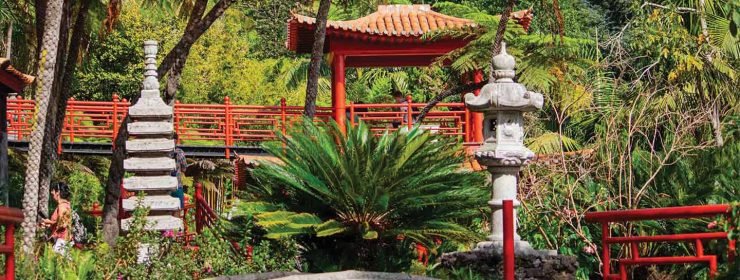 monte-see-and-go-beyond-madeira9-1